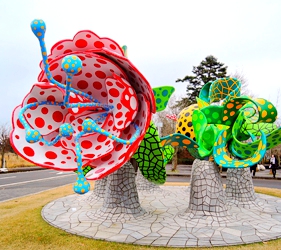 日本鹿兒島「霧島藝術之森」美術館的香格里拉之花