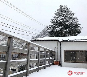 靜岡箱根一日遊箱根 BAR 溫泉Guesthouse「HakoneTent」的下雪陽台景色