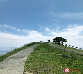 日本靜岡伊豆熱海兩日遊推薦景點像抹茶布丁的「大室山」場景三