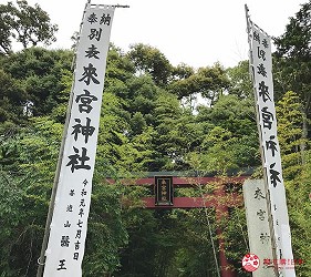 日本靜岡伊豆熱海兩日遊推薦景點「來宮神社」內景色一
