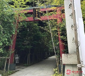 日本靜岡伊豆熱海兩日遊推薦景點「來宮神社」內景色二