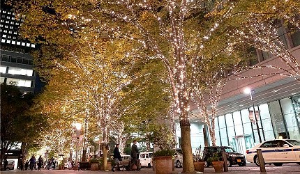 2019年去東京睇燈飾熱點丸之内浪漫香檳金樹步道的一直排燈飾