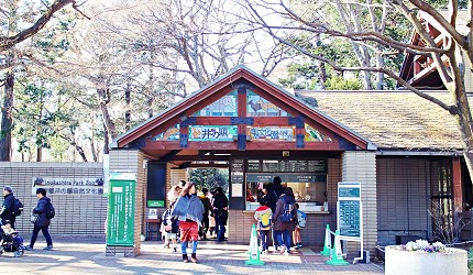 吉祥寺井之頭公園日本東京自助自由行旅遊推薦行程必訪櫻花季天鵝船