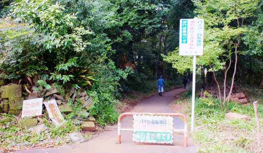 龍貓森林「どんぐりの道」的入口