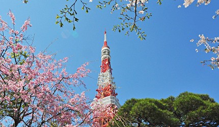 日本全國第一次新手自由行旅遊安排行程日本地理攻略氣候和區域1月2月3月4月5月6月7月8月9月10月11月12月全年氣溫下雨潮濕或溫暖樂吃購日本特別企劃日本各地天氣氣溫總整理可參考衣服裝怎麼穿較保暖或日夜溫差大北海道東北關東關西近幾北陸中部中國山陽山陰九州四國沖繩冬天春天夏天秋天賞櫻花賞紅葉楓葉銀杏看雪滑雪雪祭