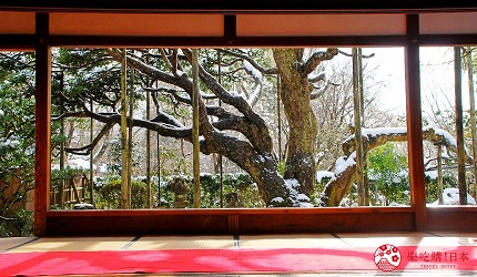 日本京都自由行行程景點推薦攻略懶人包下雪大原三千院