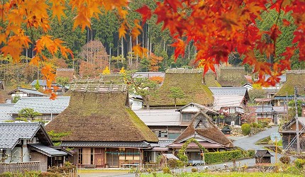 sogo探索心京都觀光旅遊活動