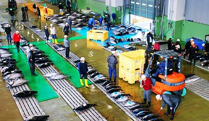 銚子漁港魚市場