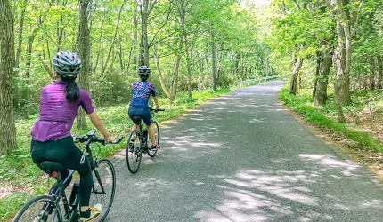 日本關東栃木縣那須市旅遊必去景點推薦RideExperience騎單車穿過森林小徑的男女