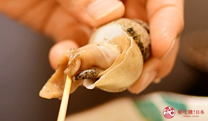 日本富山縣魚津市內的海風亭吃得到的鳳螺肥美鮮甜