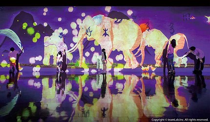 teamLab Future Park未來遊樂園 台北