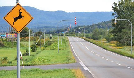 日本馬路新三寶