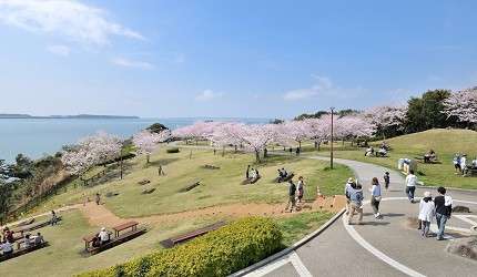 靜岡自由行景點推薦濱松市濱名湖景色