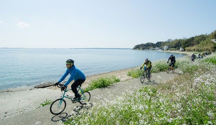 靜岡自由行景點推薦濱松市濱名湖環湖腳踏車HAMANAKOENGINE腳踏車