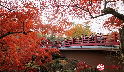 台灣香港已有直航的新潟縣新自由行觀光旅行熱點燕市彌彥村4日3夜行程推薦推介前往的彌彥公園的紅葉谷