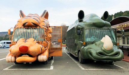 九州自然動物公園的叢林巴士