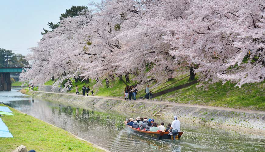 名古屋30分鐘就到愛知自由行必去推薦推介岡崎觀光景點岡崎城湖上花見船賞櫻