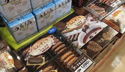 沖繩旅遊的伴手禮商品推薦沖繩金楚糕巧克力口味