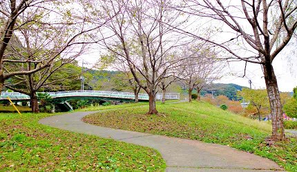 東京親子景點推薦龍貓森林嚕嚕米公園散步