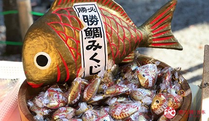 用萬歲PASS 2日乘車券可以去到的真田神社內可以找到的必勝鯛魚籤
