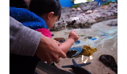 沖繩必去景點推薦「美麗海水族館」裡的小朋友玩樂照片