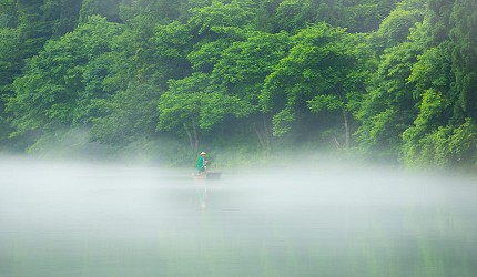 遠望福島縣奧會津的霧幻峽的只見川上泛舟的人力小舟船家在樹旁泛舟