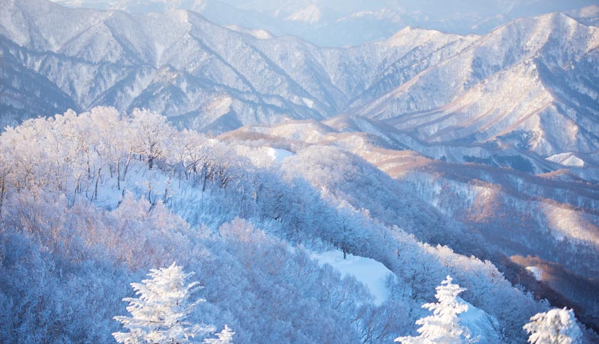 日本東北福島會津高原上鳥瞰樹冰