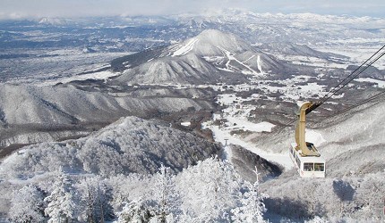 東京近郊的長野龍王滑學公園內的滑雪場