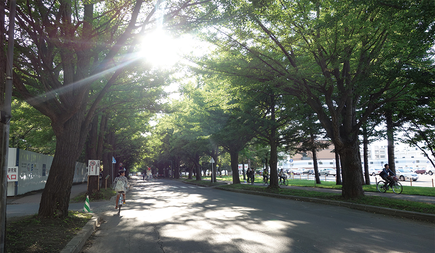 北海道札幌自由行紅葉銀杏前線下雪天氣北海道大學景點推薦