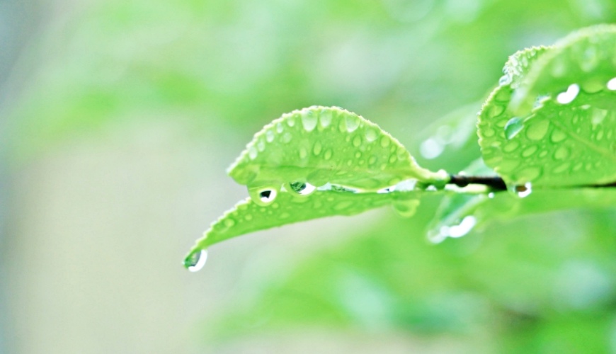 日本和製漢字「雫」的水滴形象圖