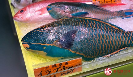 沖繩旅遊孝親自由行推薦必去購物地點「第一牧志市場」的海鮮食材