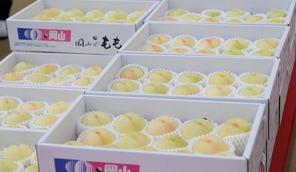岡山市中央批發市場有售的白桃