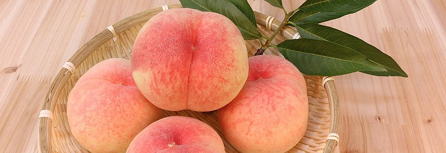 日本有名的水蜜桃