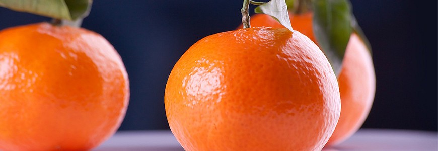 日本有名的柑橘