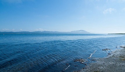 日本貓狗兔仔狐狸天鵝動物島的屈斜路湖