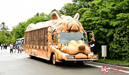 靜岡景點親子遊推薦富士野生動物園叢林巴士