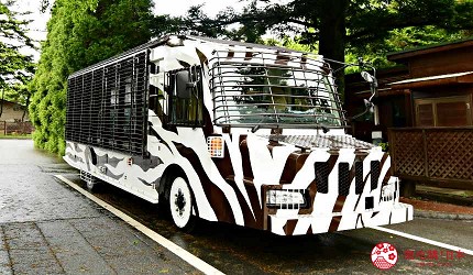 靜岡景點親子遊推薦富士野生動物園超級叢林巴士