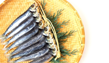 日本魚類漢字「鰯」（沙丁魚）的形象圖