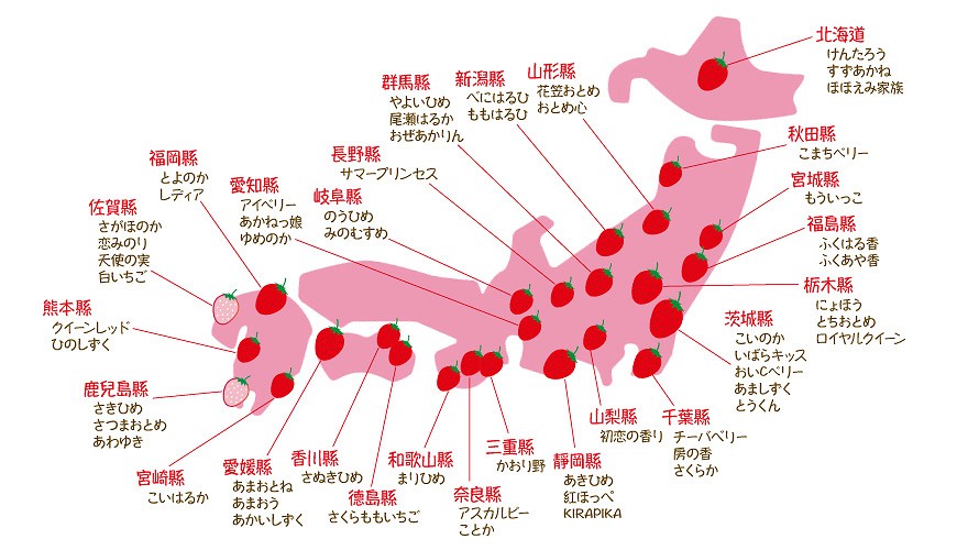 日本草莓品種地圖