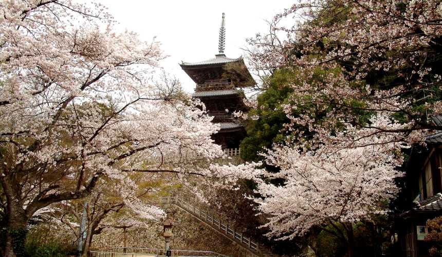 日本結緣聖地「島根」、柯南故鄉「鳥取」旅遊推薦：安來市的清水寺