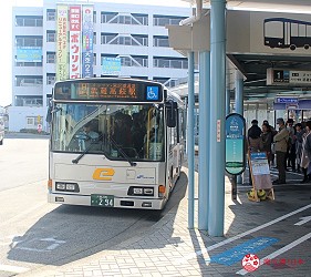 日本東京自由行埼玉飯能嚕嚕米樂園MOOMIN VALLEY PARK慕敏慕明嚕嚕米公園怎麼去門票交通行程攻略必買周邊商品