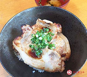 日本高知縣休息站農業窪川餐廳風人美食料理米豚四萬十豬