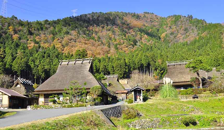 京都「美山茅草屋之鄉」的茅草屋簷
