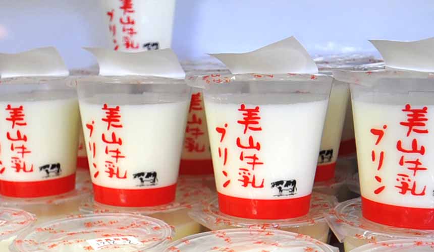 京都「美山茅草屋之鄉」道之驛美山交流廣場販賣的霜淇淋或是牛乳布丁