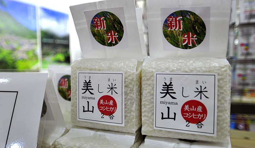 京都「美山茅草屋之鄉」道之驛美山交流廣場販賣的稻米