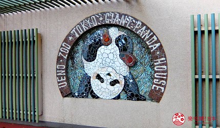 東京自由行上野景點上野動物園熊貓