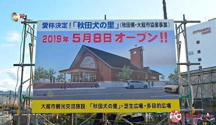 秋田縣大館市秋田犬之里