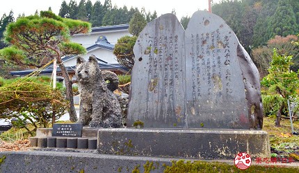 秋田縣大館市忠犬八公誕生之家