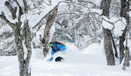 日本最大規模滑雪場岩手縣安比高原滑雪場