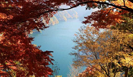 御嶽御岳山奧多摩湖賞楓紅葉散步一日遊